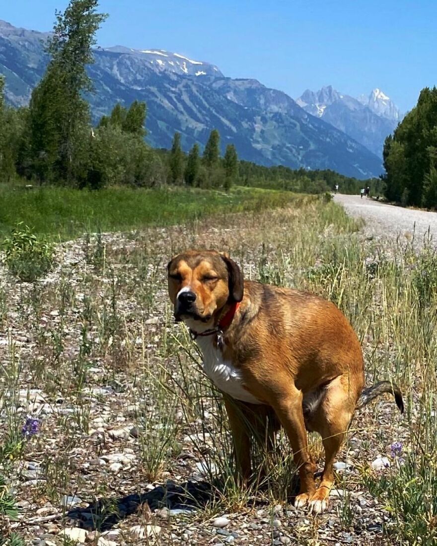 Frank In Wilson Wyoming!