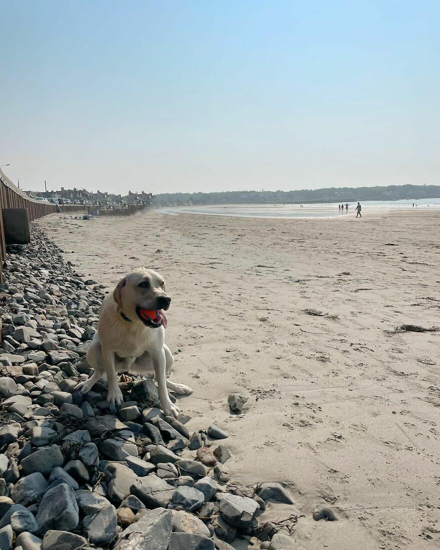 Bogey In Kennybunkport, Maine!