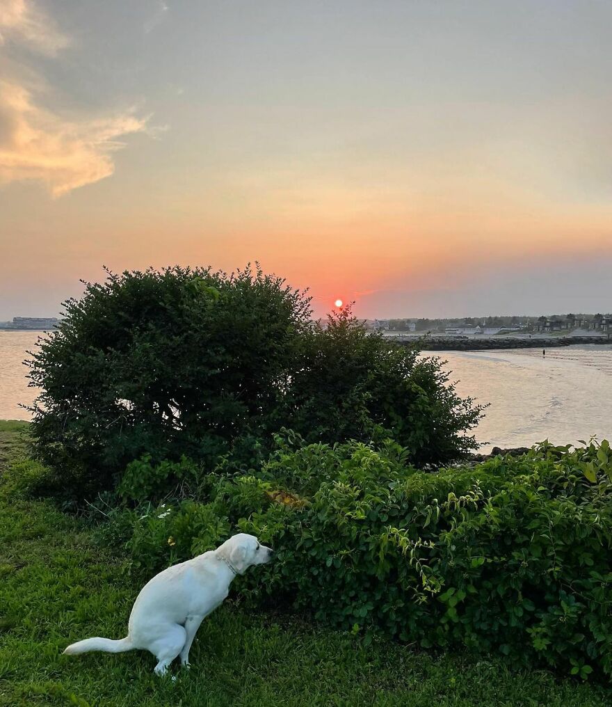 Bogey In Kennebunkport, Maine!