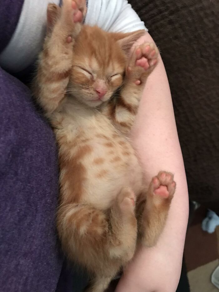 Another Baby Ember Belly After His Bottle