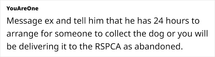 Woman Stuck With Ex’s Massive Dog As He Goes Abroad, Starts Calling Shelters To Get Rid Of It