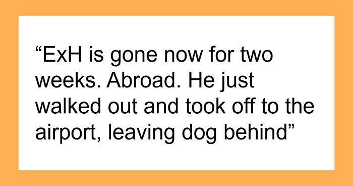 Callous Ex Goes Abroad For 2 Weeks And Leaves Dog With Woman To Care For, Despite Her Saying No