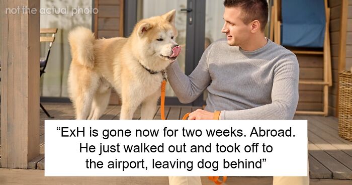 Woman Stuck With Ex’s Massive Dog As He Goes Abroad, Starts Calling Shelters To Get Rid Of It