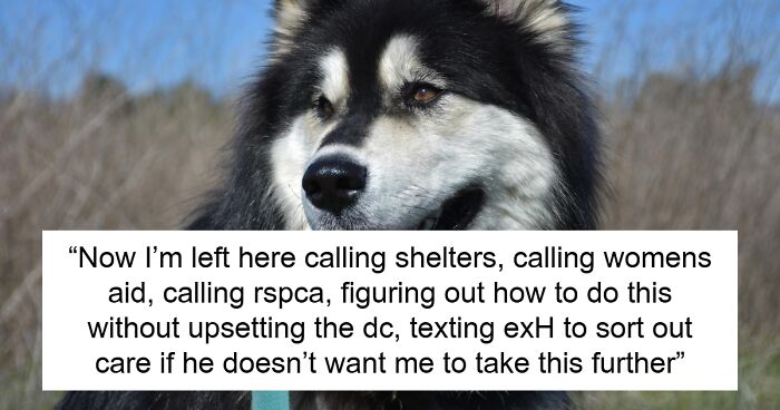 Ex Takes Off Abroad And Leaves His Giant Dog With Woman, Forcing Her To Call Shelters To Pick It Up