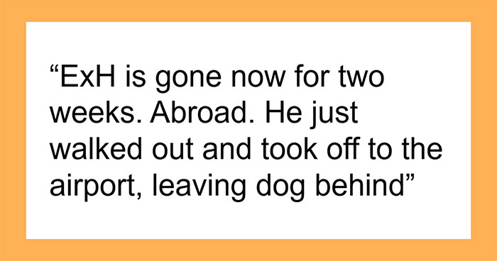 Woman Stuck With Ex’s Massive Dog As He Goes Abroad, Starts Calling Shelters To Get Rid Of It