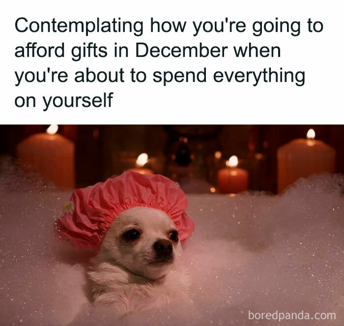 A dog in a pink shower cap relaxing in a bubble bath, captioned with a humorous Black Friday shopping dilemma.