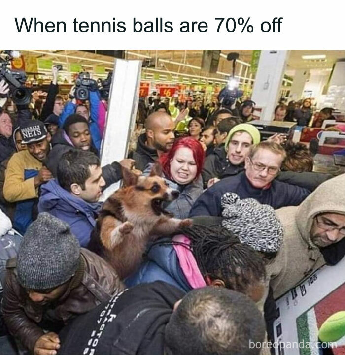 Crowd shopping chaos with dog, funny Black Friday meme.