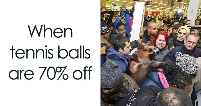 90 Of The Funniest Black Friday Memes To Check Out After You’re Done With Your Shopping Spree