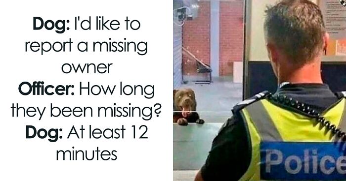 96 Cheerful Memes About Dogs That Only Prove We Don’t Deserve Them