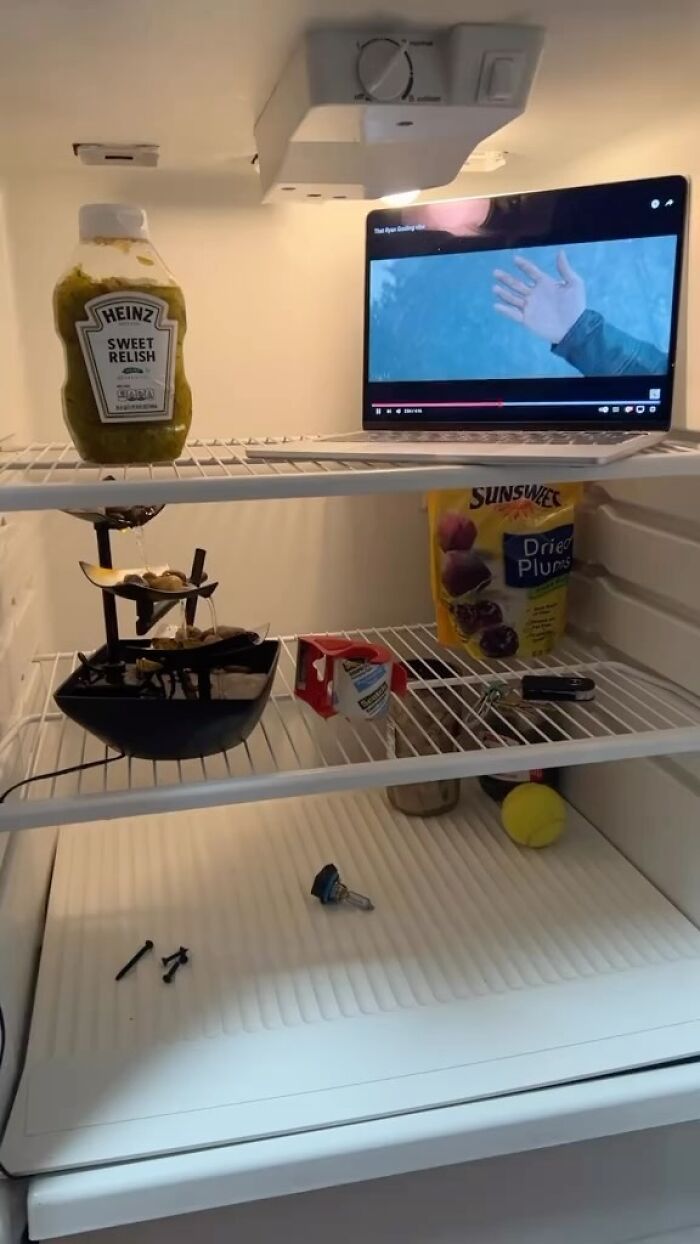 Fridge with laptop, relish, prunes, and mixed items, capturing a chaotic 'dude fridge' scene.