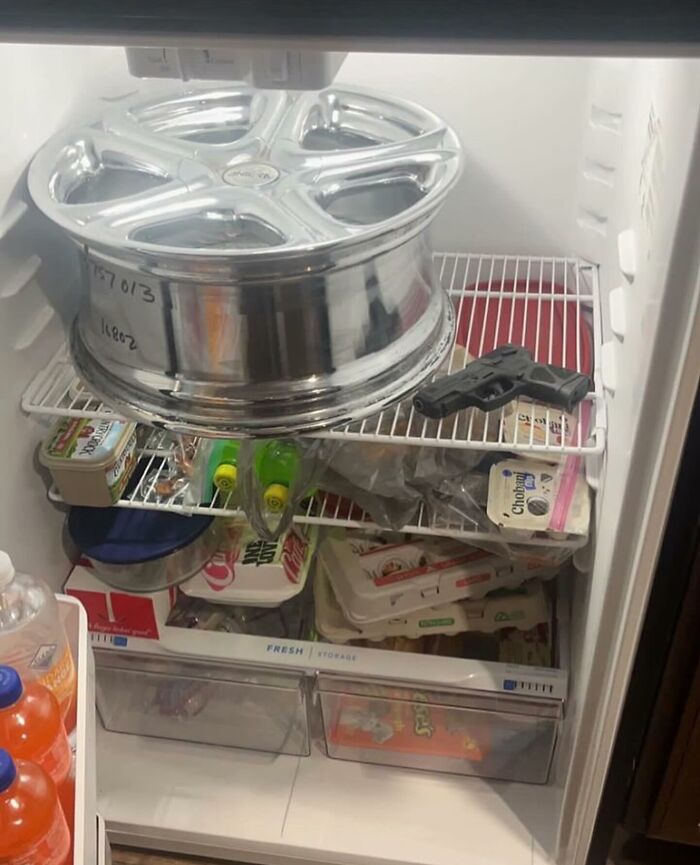 This Is A Wheely Good Fridge Pic