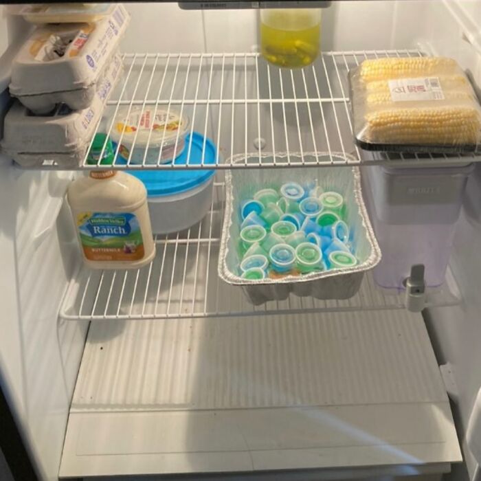 Average Nebraska Fridge