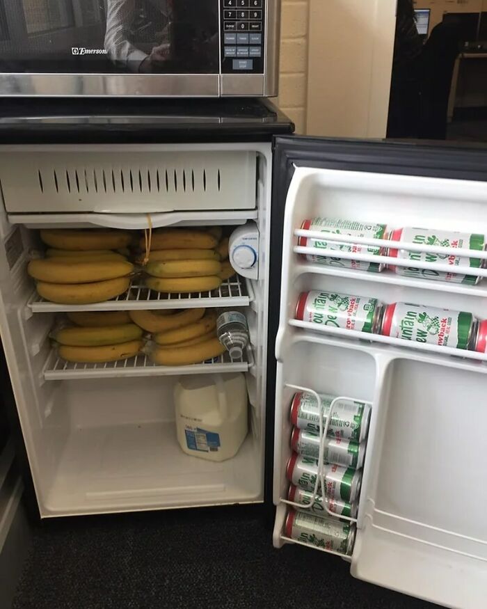 A mini fridge filled with bananas and stacked beer cans, exemplifying a chaotic dude fridge setup.