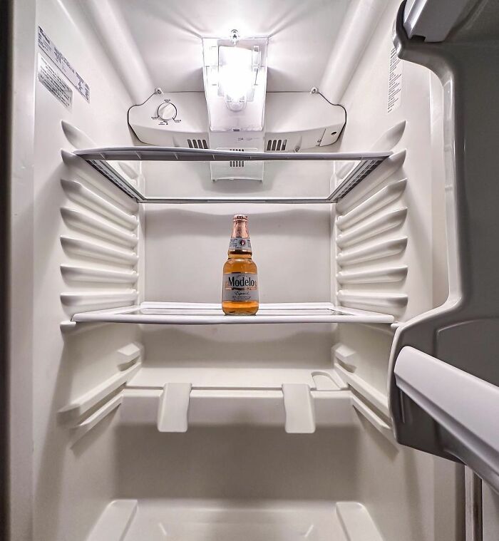 A single beer bottle in an empty fridge from a chaotic 'dude fridge' Instagram account.