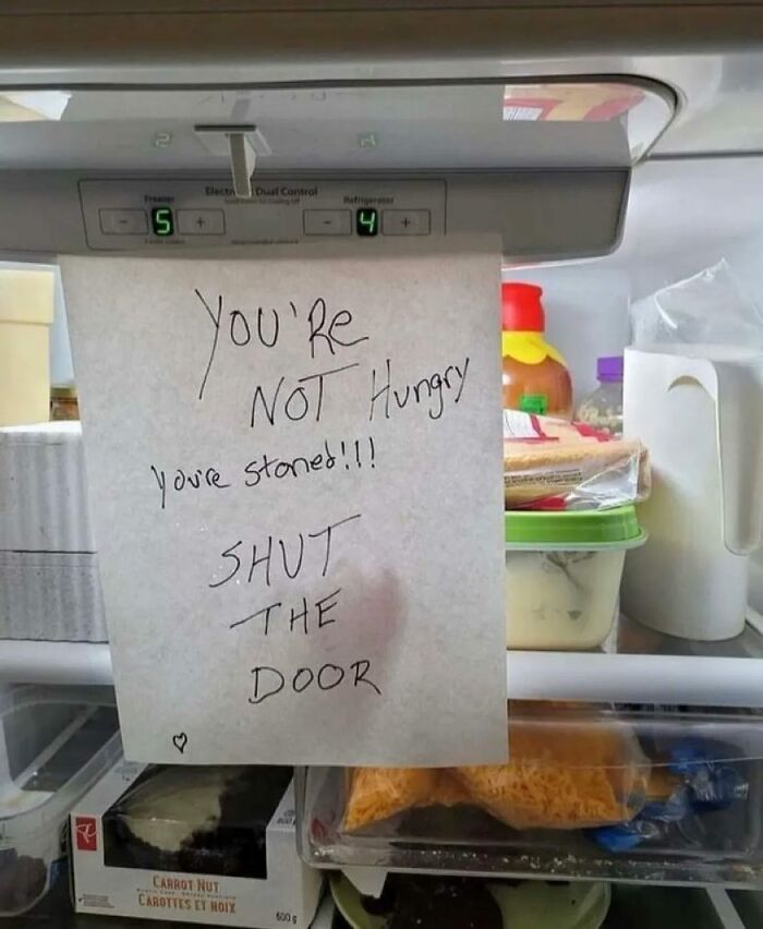 Note on a fridge door with text: "You're not hungry, you're stoned! Shut the door," showcasing a chaotic dude fridge.