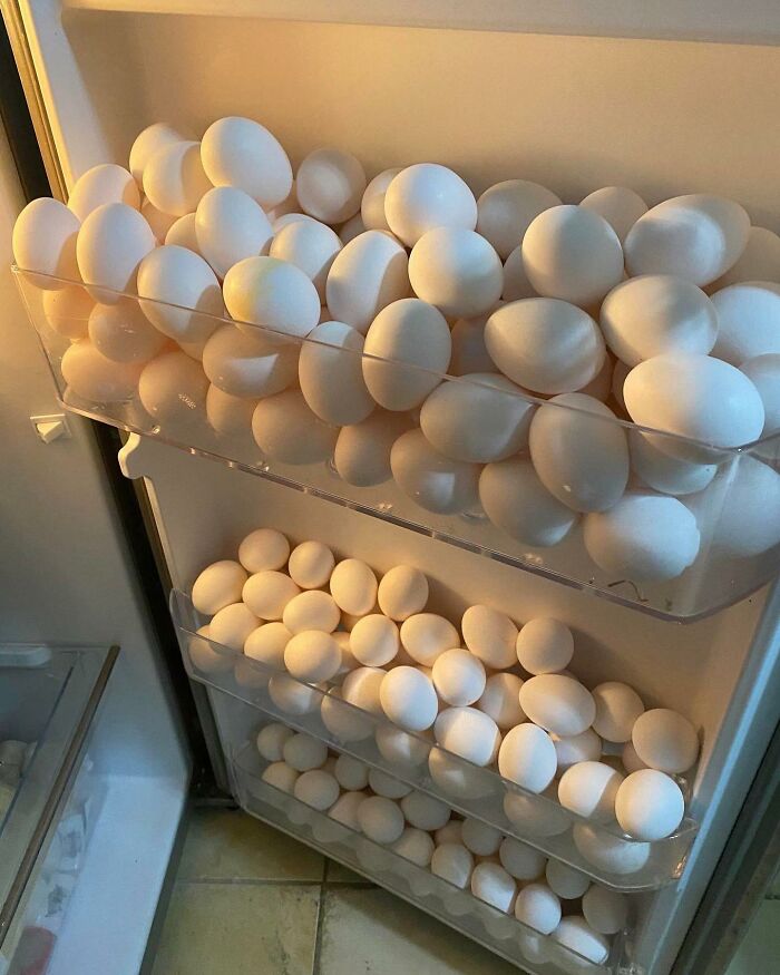 A fridge door packed with eggs, showcasing a chaotic ‘Dude Fridge’ arrangement.