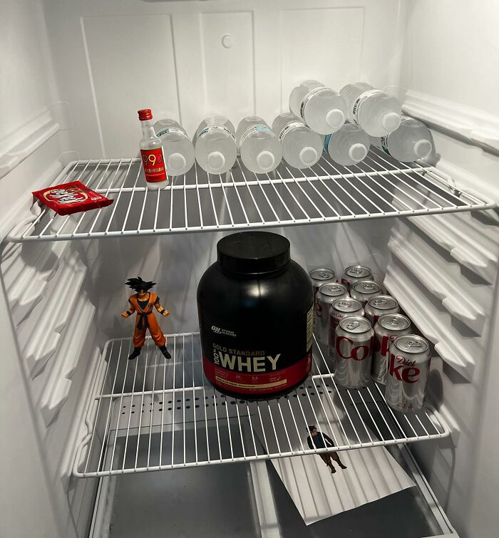 Fridge with protein powder, Diet Coke, water bottles, and a toy figure; example of a ‘dude fridge’.