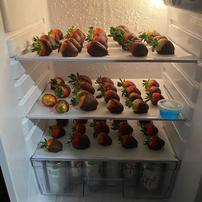 Dude fridge stocked with chocolate-covered strawberries and canned drinks.