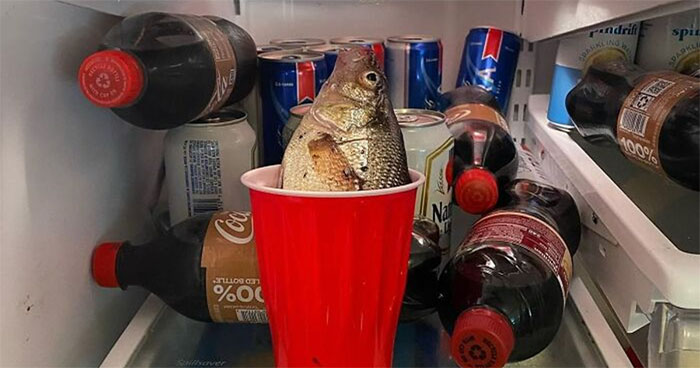 75 Chaotic Photos From This Instagram Account Dedicated To ‘Dude Fridges’