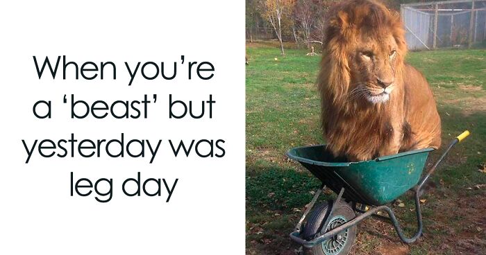 80 Funny Gym Memes For Regular And Occasional Lifters To Relate To