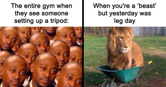 80 Gym Memes To Keep You Entertained Between Sets