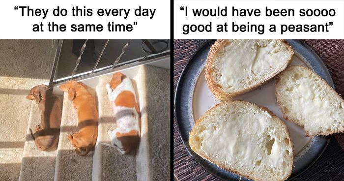 95 ‘Unbruthered’ Memes To Make You Laugh When You Really, Really Need It