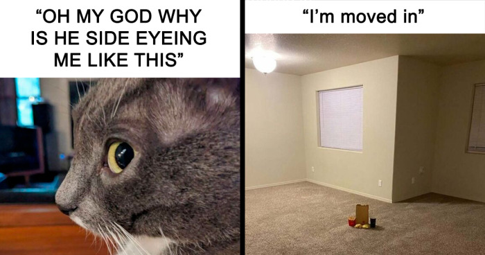 95 Memes That Feel Like Inside Jokes For A Universe You’ve Never Visited