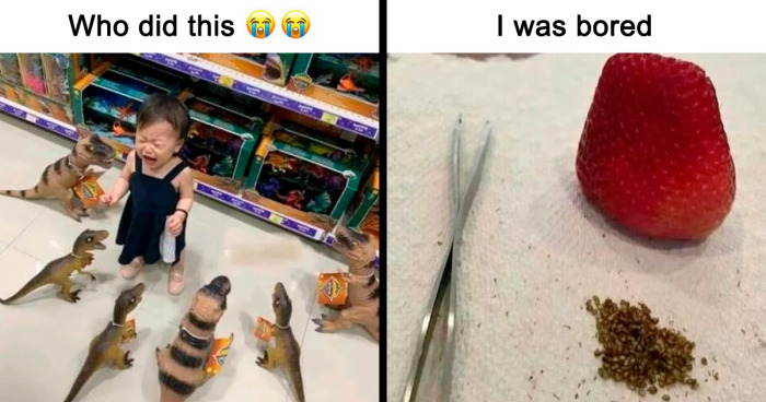 75 Hilariously Relatable Memes From This Instagram Account With 1 Million Followers