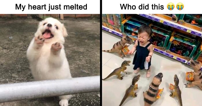 75 Hilarious Memes That Illustrate Just How Hectic Life Can Be