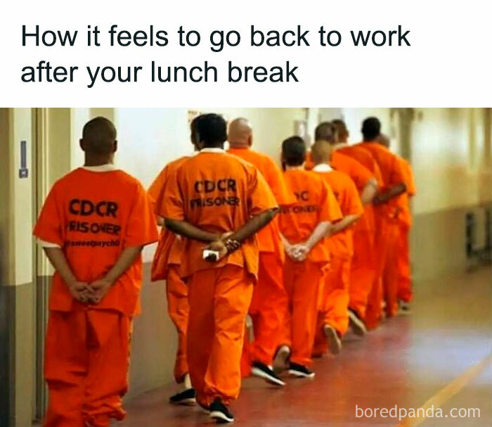 Funny-Work-Memes