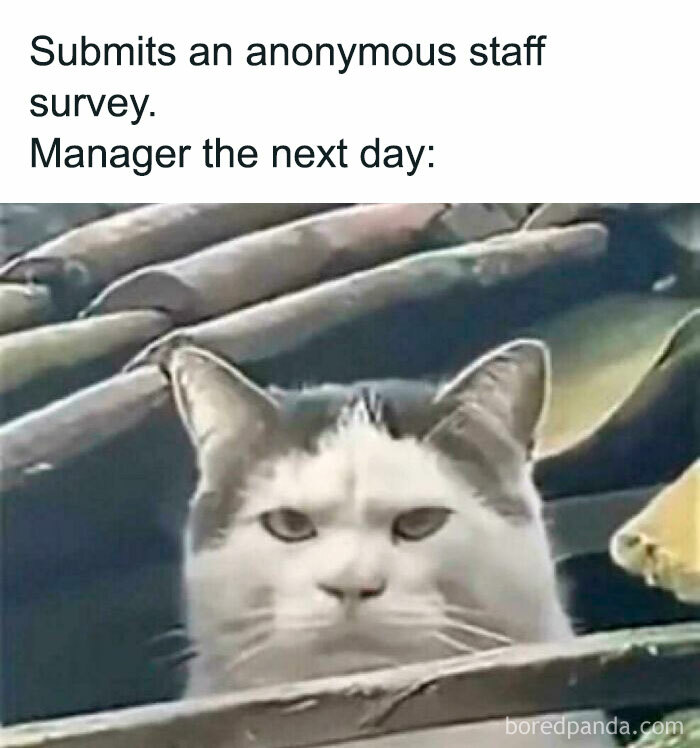 Funny-Work-Memes