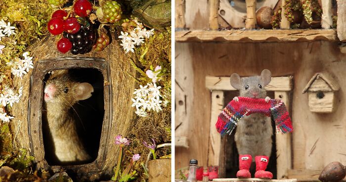 I Built A Mouse Village, Which Might Be The First And Only Mouse Village In Yorkshire, England (17 Pics)