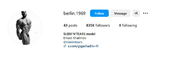 Instagram profile screenshot of Ernest Khalimov, associated with the Giga Chad meme, showing 835K followers and minimalistic details.