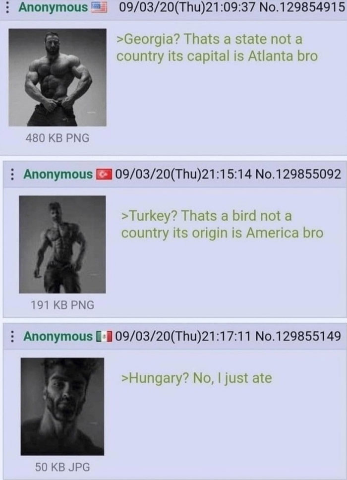 A meme featuring Giga Chad images with humorous text about countries Georgia, Turkey, and Hungary, playfully misinterpreted as non-geographic terms.