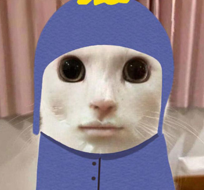 "A goofy ahh meme of a white cat with large black eyes edited to have a human-like mouth, wearing a cartoonish blue helmet with a yellow detail."