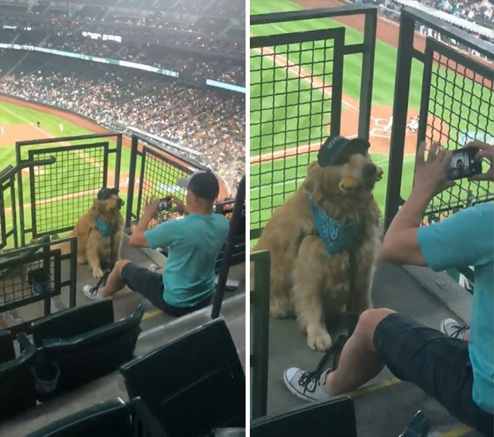 Good Boy Trying His Hardest To Pose With Food At The Ballpark