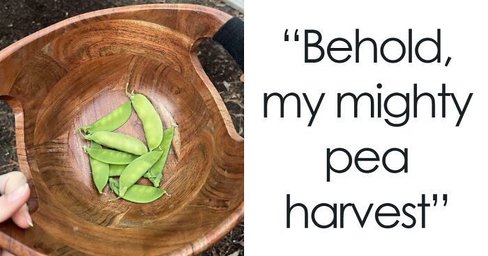 30 Times People Tried Their Hand At Gardening And Ended Up Hilariously Disappointed (New Pics)