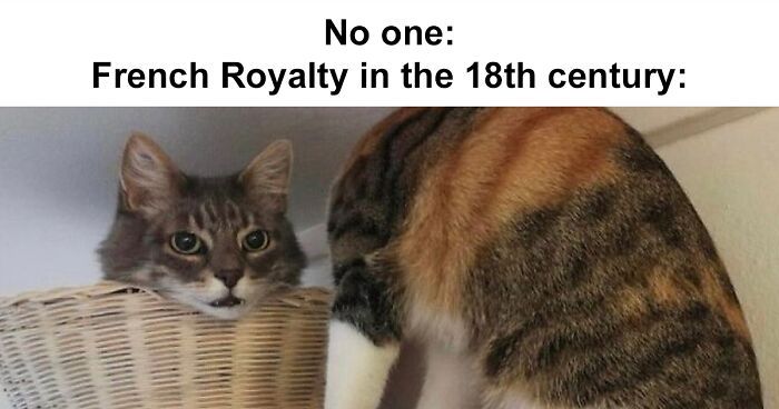 80 Funny And Spot-On Memes That Explain History In A Way That Textbooks Don’t