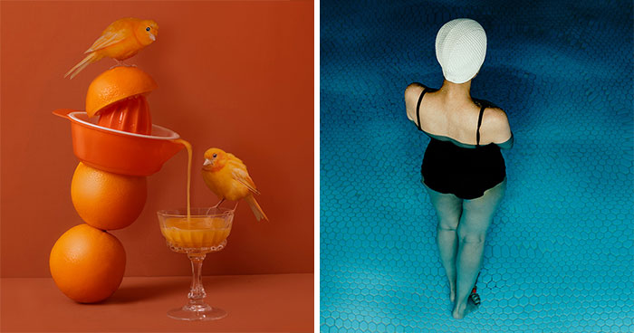 25 Striking Photos From AAP Magazine’s 43rd Contest That Celebrate Vibrant Color