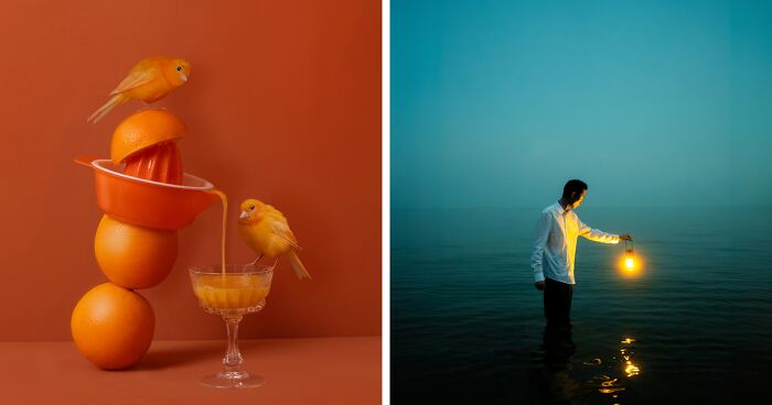 25 Striking Photos From AAP Magazine’s 43rd Contest That Celebrate Vibrant Color