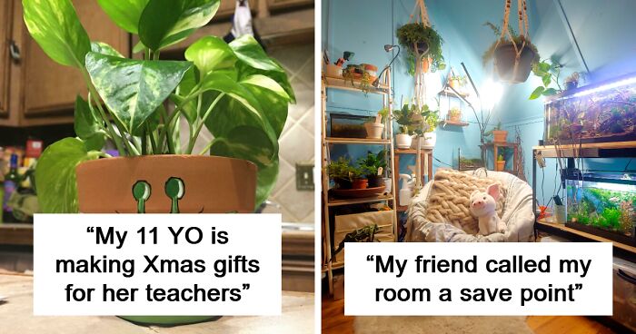 100 People Turned Their Homes Into Thriving Indoor Gardens And Are Now Sharing The Joy