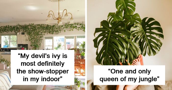 Indoor Gardens: 100 Beautiful Pics That Might Make Your Houseplants Jealous