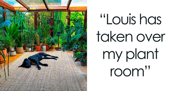 These 100 Indoor Gardens Prove That Green Thumbs Can Bloom Anywhere