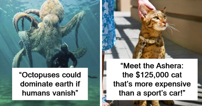 68 Facts And Stories About Animals For Your Daily Dose Of New Knowledge