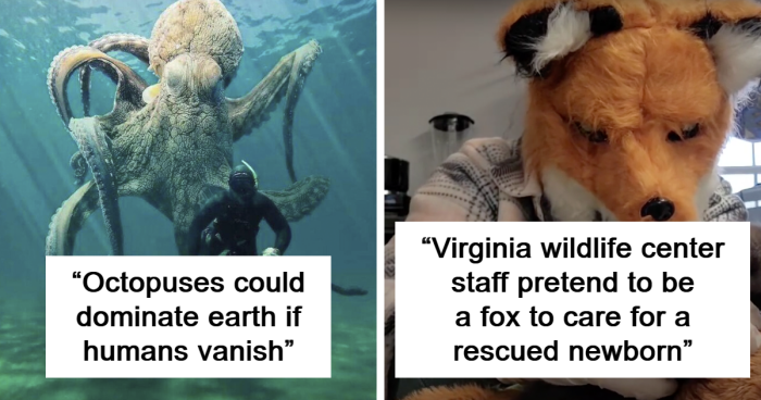 68 Facts About Animals That Might Make You Look Like The Smartest Person In The Room