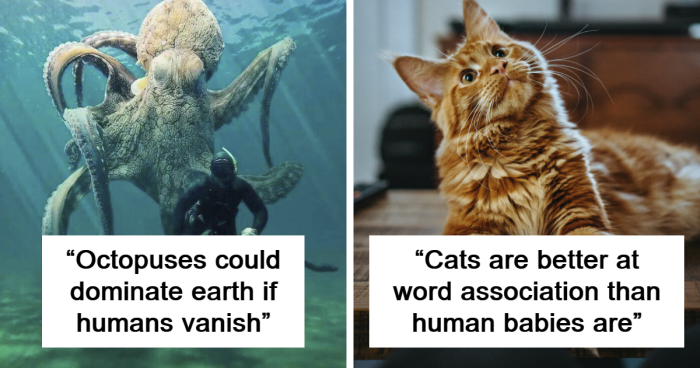 68 Fun Animal Facts That Prove Nature Is Full Of Surprises