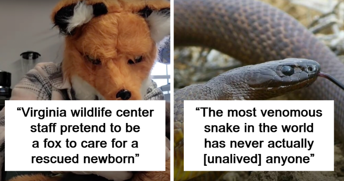 68 Fascinating Animal Facts You Probably Didn’t Learn In School