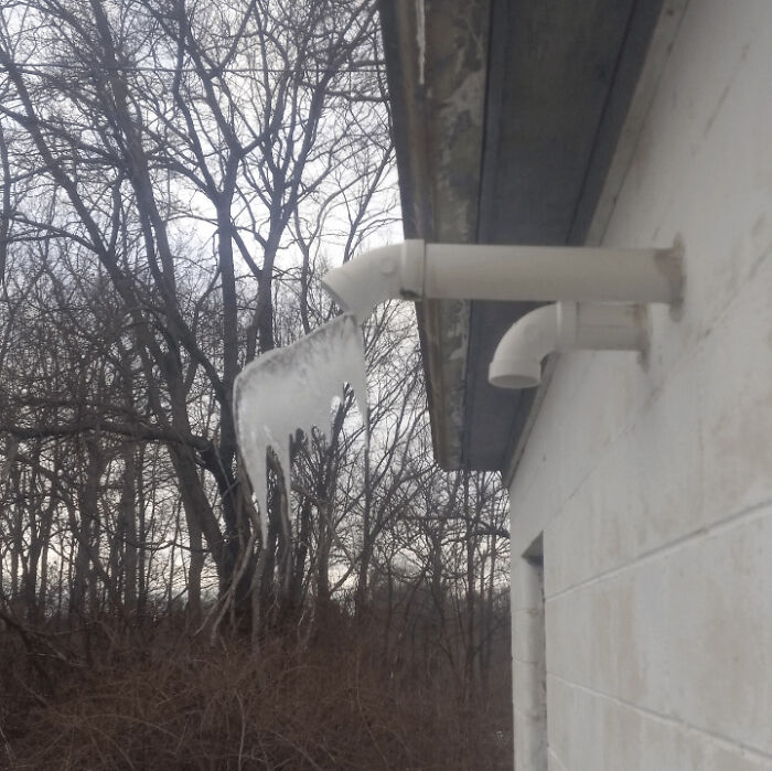 Icicles hanging from a pipe on a cold winter day with bare trees in the background.