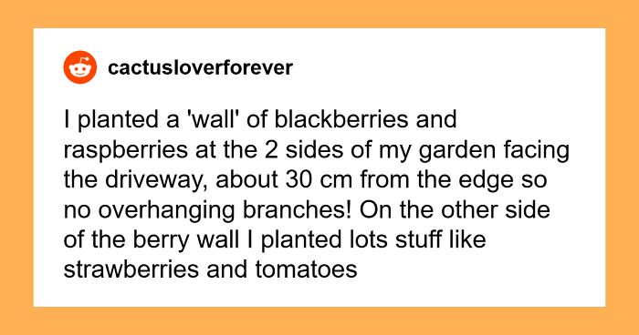 Children Terrorize Work-From-Home Neighbor, So They Plant Prickly Bushes To Keep Them Away