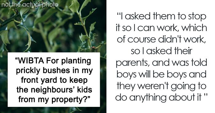 Person Plants Prickly Berry Bushes To Keep Neighbors’ Kids Away, Gets The Berries Stolen